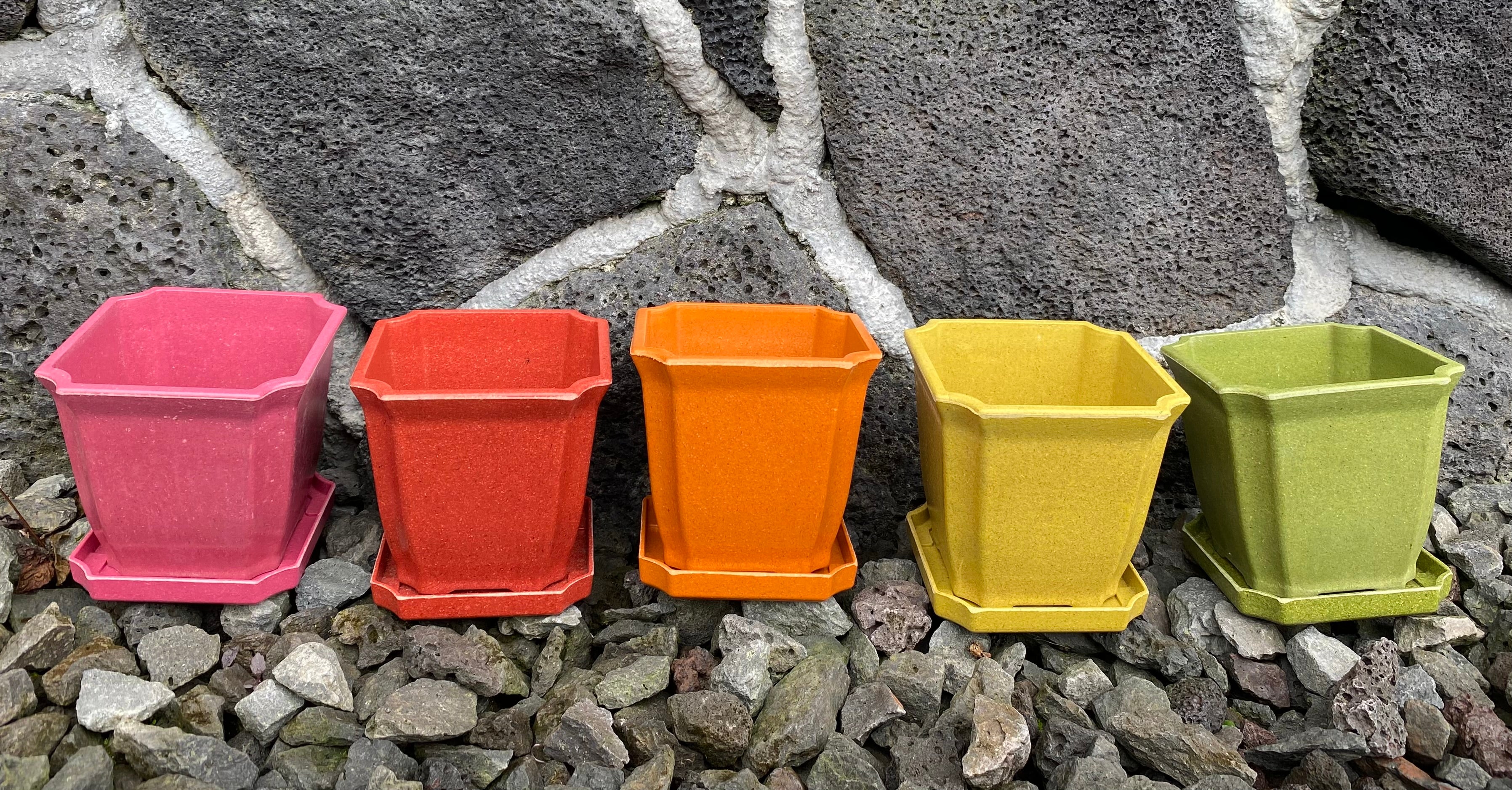 plastic plant pots price Eco Pots – Kalapana Orchid Farm